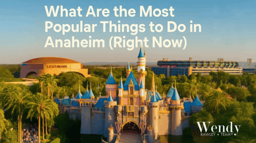 Disneyland castle and Honda Center aerial view showcasing Anaheim real estate location near top attractions